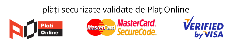 Plăți online securizate
